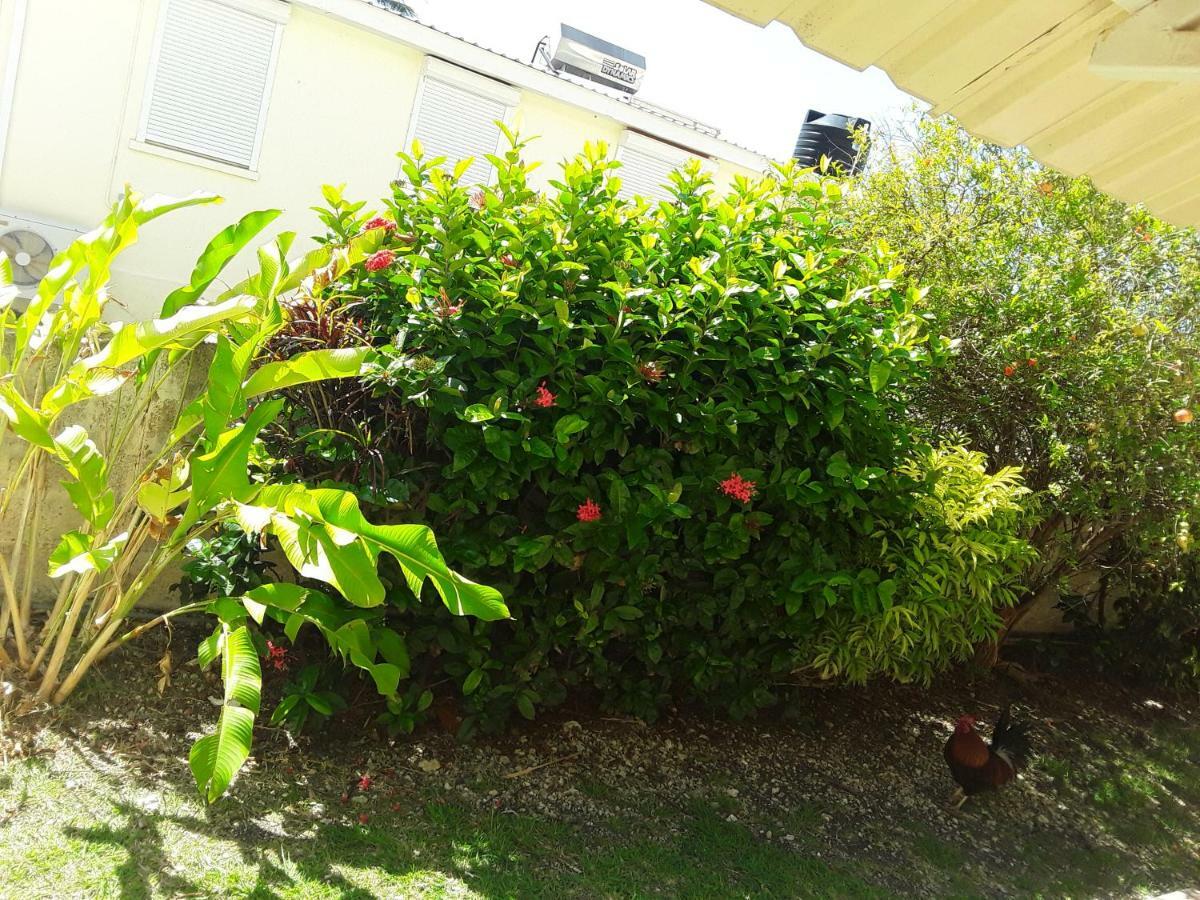 Carib Blue Apartments Oistins Exterior photo